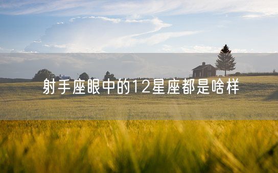 射手座眼中的12星座都是啥样(图1)
