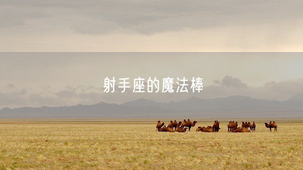 射手座的魔法棒(图1)