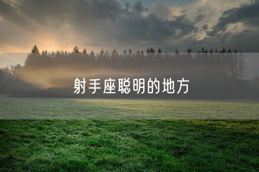 射手座聪明的地方(图1)