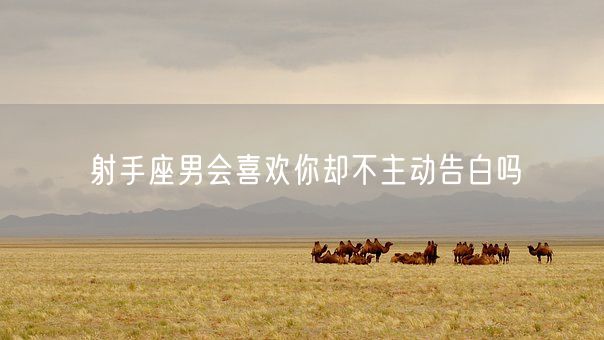射手座男会喜欢你却不主动告白吗(图1)