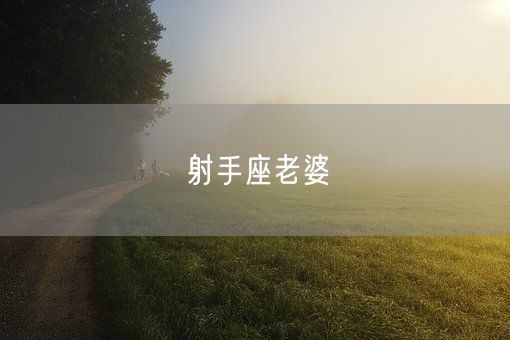 射手座老婆(图1)