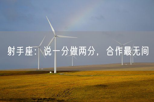 射手座：说一分做两分，合作最无间(图1)