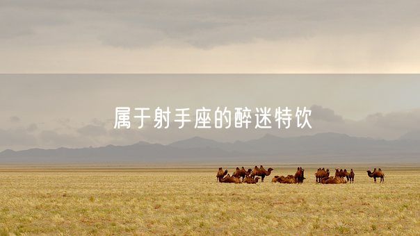 属于射手座的醉迷特饮(图1)