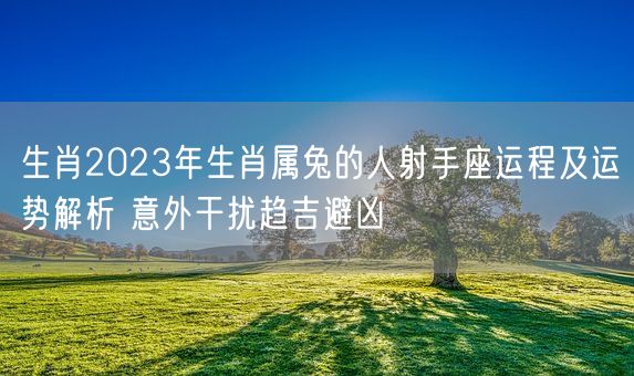 生肖2023年生肖属兔的人射手座运程及运势解析 意外干扰趋吉避凶(图1)