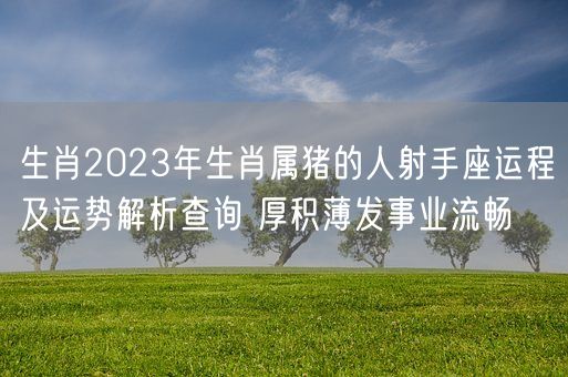 生肖2023年生肖属猪的人射手座运程及运势解析查询 厚积薄发事业流畅(图1)