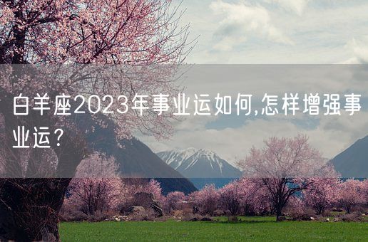 白羊座2023年事业运如何,怎样增强事业运?(图1) 白羊座2023年事业运如何,怎样增强事业运?(图1)