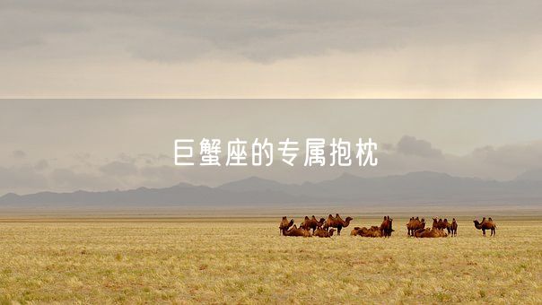 巨蟹座的专属抱枕(图1)