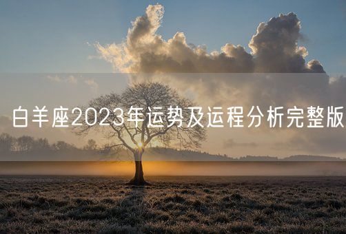 白羊座2023年运势及运程分析完整版(图1) 白羊座2023年运势及运程分析完整版(图1)