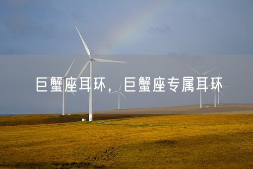 巨蟹座耳环，巨蟹座专属耳环(图1)