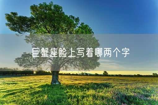 巨蟹座脸上写着哪两个字(图1)