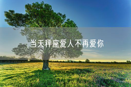 当天秤座爱人不再爱你(图1)