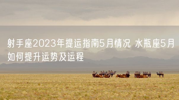 射手座2023年提运指南5月情况 水瓶座5月如何提升运势及运程(图1)