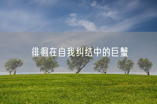 徘徊在自我纠结中的巨蟹(图1)