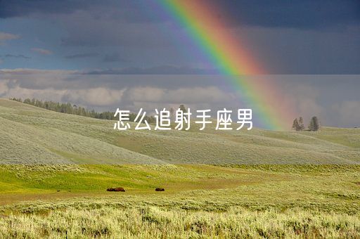 怎么追射手座男(图1)