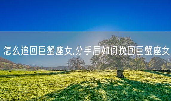 怎么追回巨蟹座女,分手后如何挽回巨蟹座女(图1)