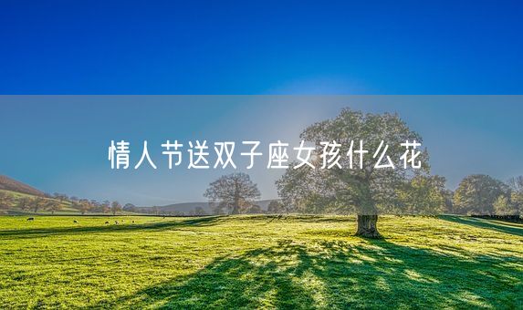 情人节送双子座女孩什么花(图1)