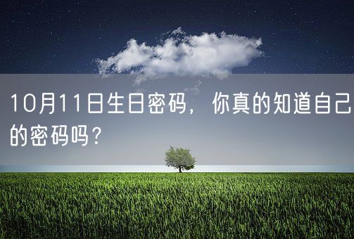 10月11日生日密码,你真的知道自己的密码吗?(图1) 10月11日生日密码,你真的知道自己的密码吗?(图1)