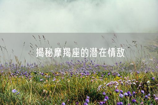 揭秘摩羯座的潜在情敌(图1)