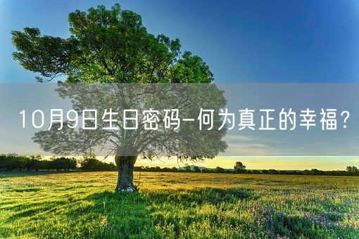 10月9日生日密码-何为真正的幸福？(图1)
