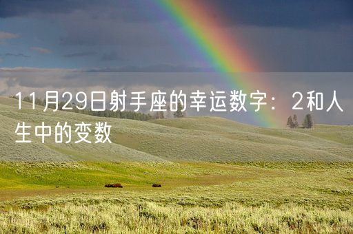 11月29日射手座的幸运数字：2和人生中的变数(图1)