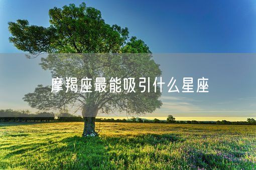 摩羯座最能吸引什么星座(图1)