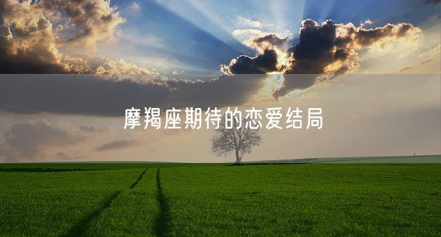 摩羯座期待的恋爱结局(图1)