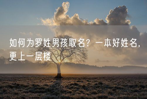 如何为罗姓男孩取名？一本好姓名，更上一层楼(图1)