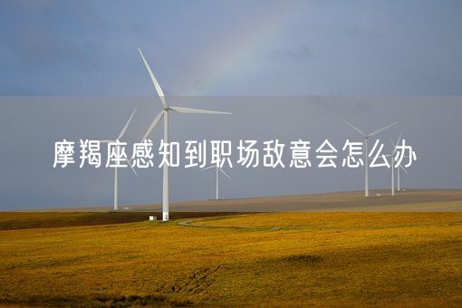 摩羯座感知到职场敌意会怎么办(图1)