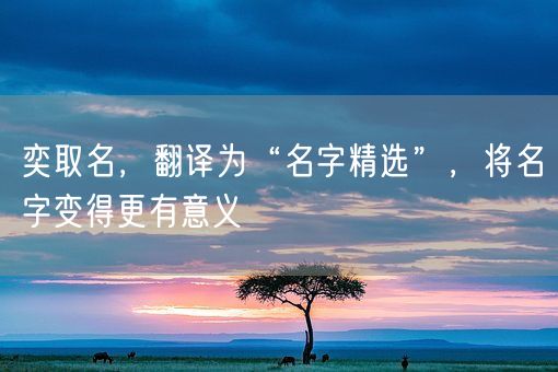 奕取名，翻译为“名字精选”，将名字变得更有意义(图1)