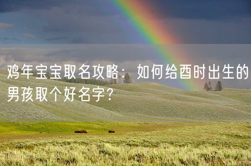 鸡年宝宝取名攻略：如何给酉时出生的男孩取个好名字？(图1)