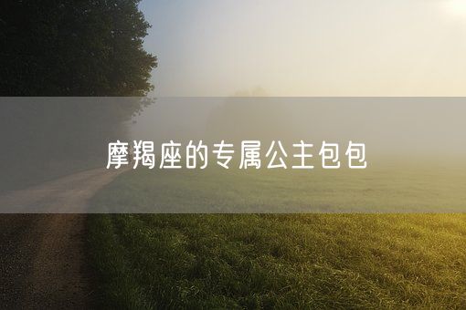 摩羯座的专属公主包包(图1)