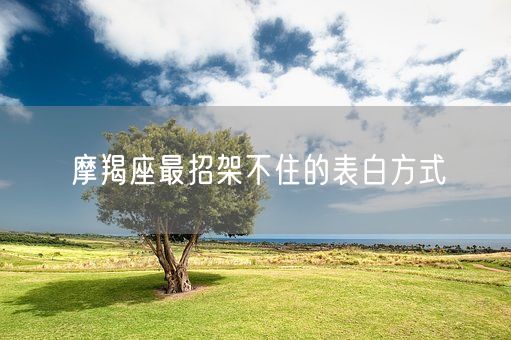 摩羯座最招架不住的表白方式(图1)