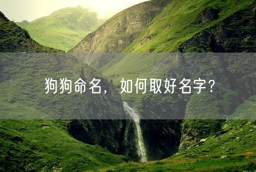 狗狗命名，如何取好名字？(图1)