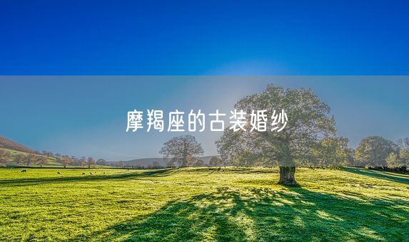 摩羯座的古装婚纱(图1)