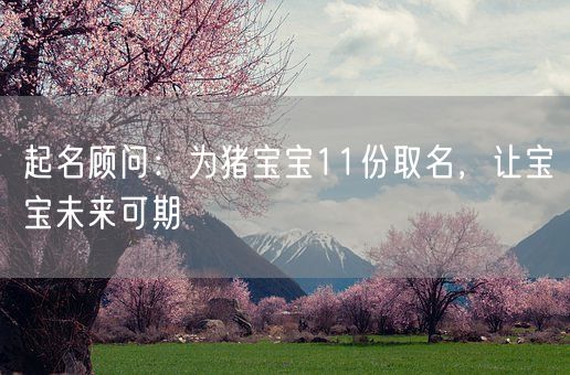 起名顾问：为猪宝宝11份取名，让宝宝未来可期(图1)