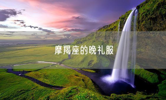 摩羯座的晚礼服(图1)