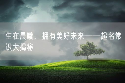 生在晨曦，拥有美好未来——起名常识大揭秘(图1)