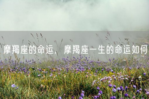 摩羯座的命运，摩羯座一生的命运如何(图1)