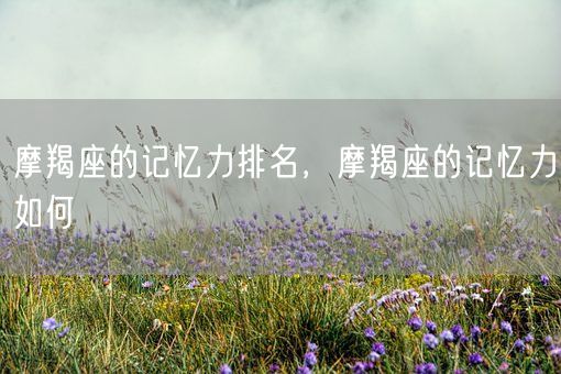 摩羯座的记忆力排名，摩羯座的记忆力如何(图1)