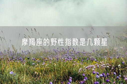 摩羯座的野性指数是几颗星(图1)