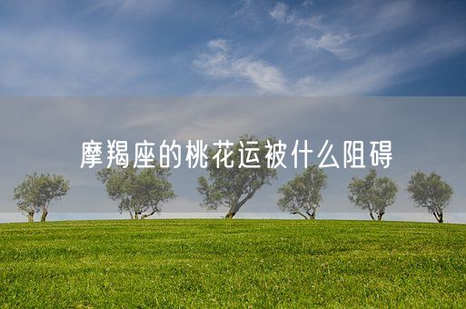 摩羯座的桃花运被什么阻碍(图1)