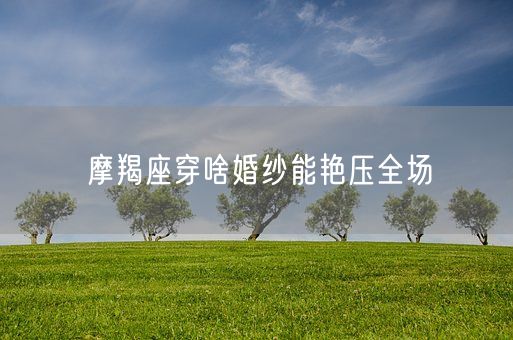 摩羯座穿啥婚纱能艳压全场(图1)