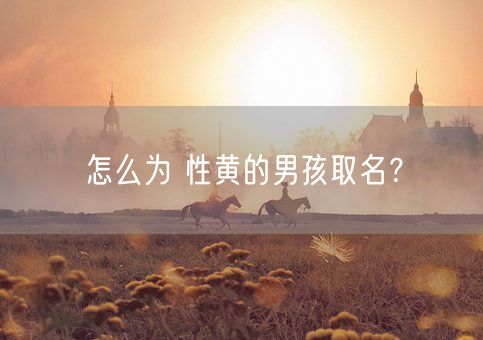 怎么为 性黄的男孩取名？(图1)