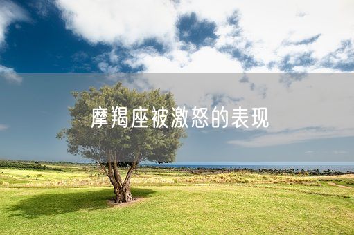 摩羯座被激怒的表现(图1)