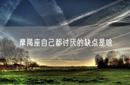 摩羯座自己都讨厌的缺点是啥(图1)