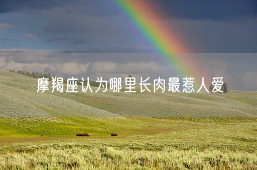 摩羯座认为哪里长肉最惹人爱(图1)