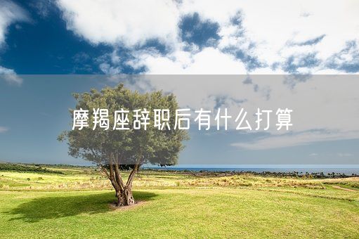 摩羯座辞职后有什么打算(图1)