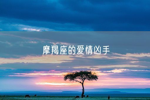 摩羯座的爱情凶手(图1)