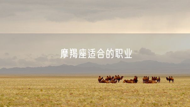 摩羯座适合的职业(图1)