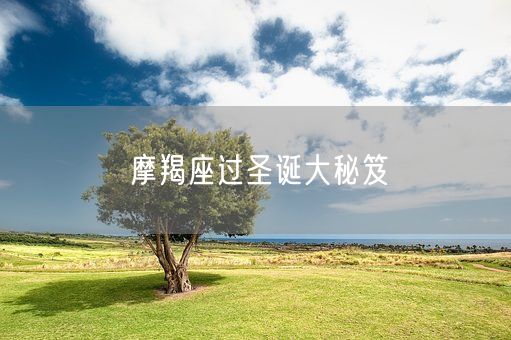 摩羯座过圣诞大秘笈(图1)
